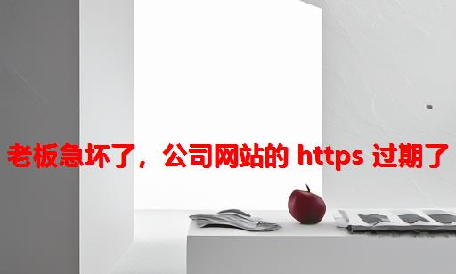 老板急坏了，公司网站的 HTTPS 过期了